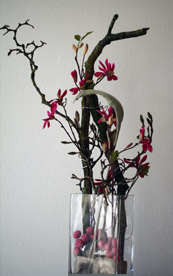 Foto von Blumenpflanze auf Kontaktseite